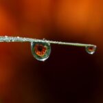 Dein Raum Adinavoicu Drops 4321147 640 150x150