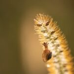 Dein Raum Lila Getupft Macro 9837152 640 150x150